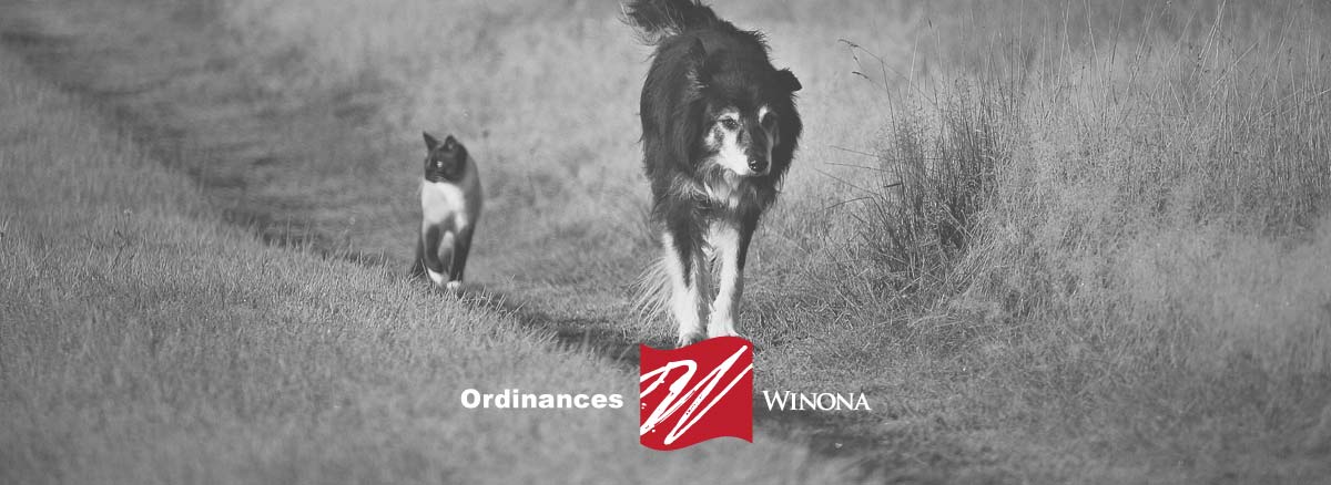 Ordinances - City of Winona MS