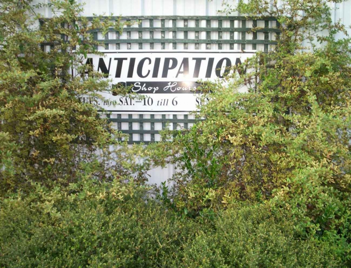 [Anticipation Antiques]